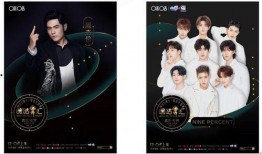 最新星光飞宠爆料,神秘宠物即将降临，带你领略奇幻冒险之旅